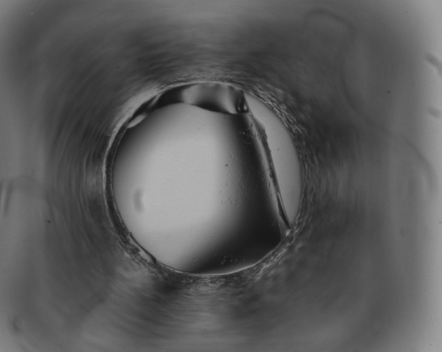 X0000091300148200708241059