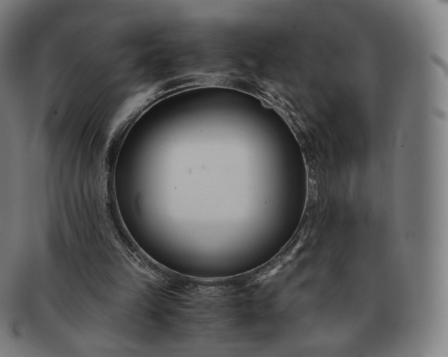 X0000091300149200708241059