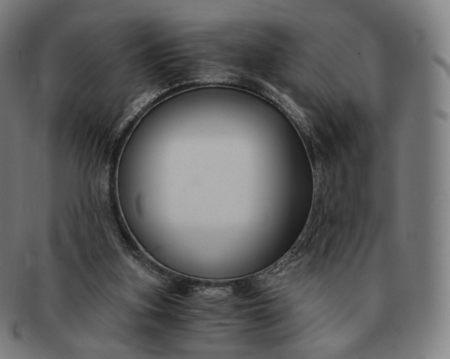 X0000091300155200708241059