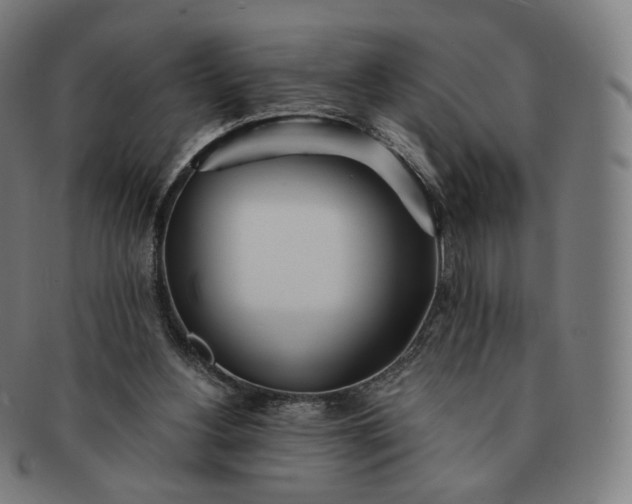 X0000091300156200708241059