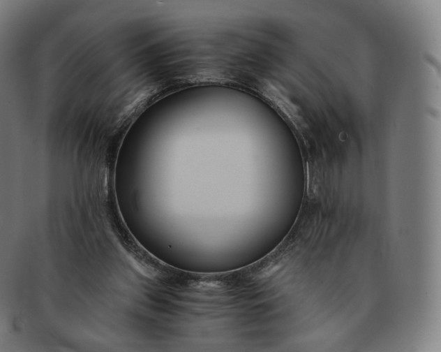 X0000091300157200708241059