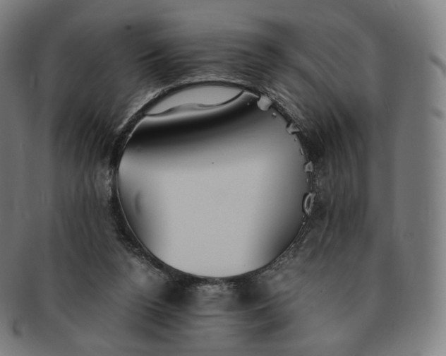 X0000091300160200708241059