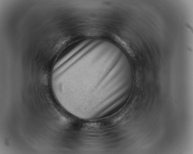 X0000091300161200708241059