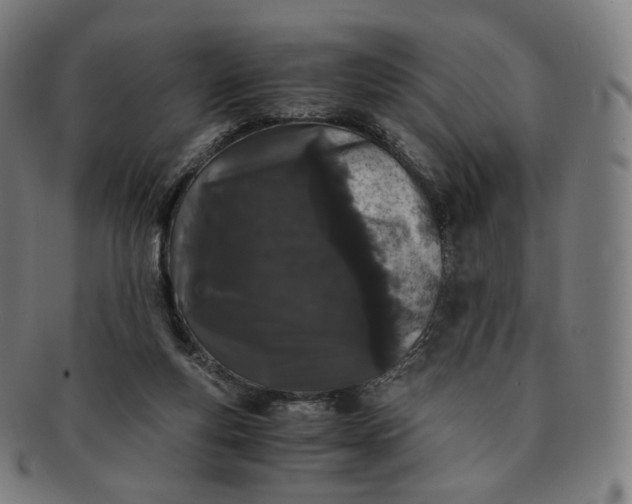 X0000091300163200708241059