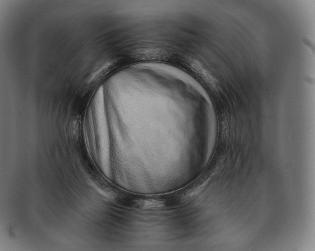 X0000091300165200708241059