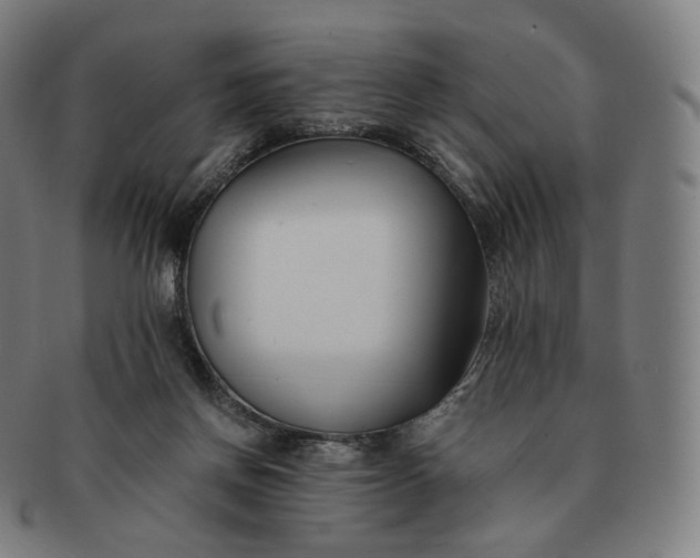 X0000091300166200708241059