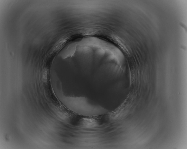 X0000091300167200708241059