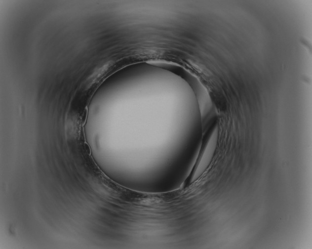 X0000091300168200708241059