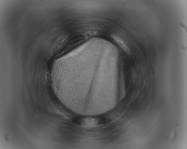 X0000091300169200708241059