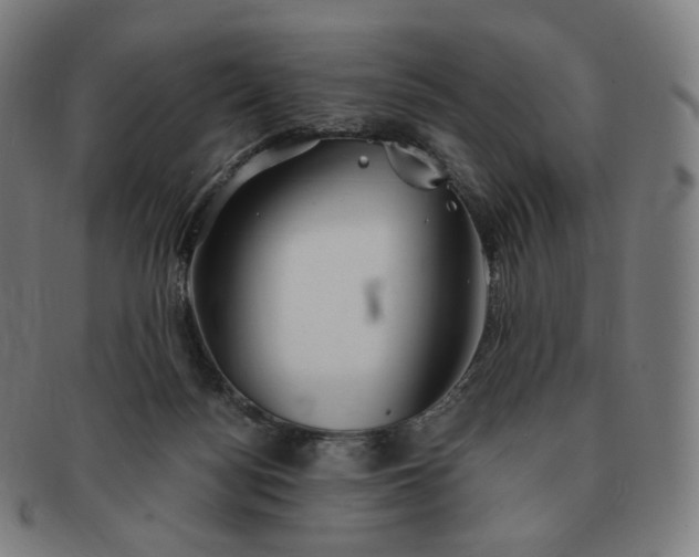 X0000091300172200708241059