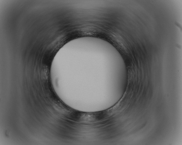 X0000091300174200708241059