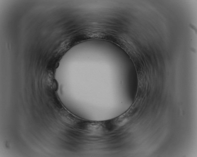 X0000091300175200708241059