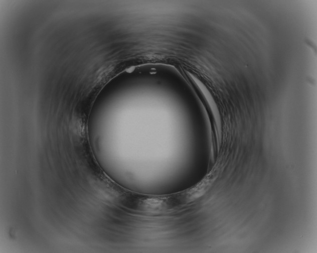 X0000091300176200708241059