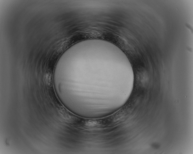 X0000091300177200708241059