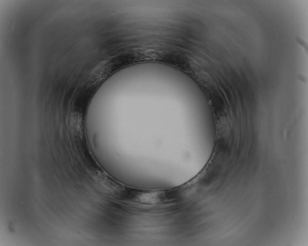 X0000091300178200708241059