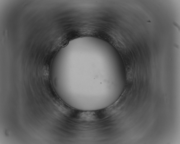 X0000091300179200708241059