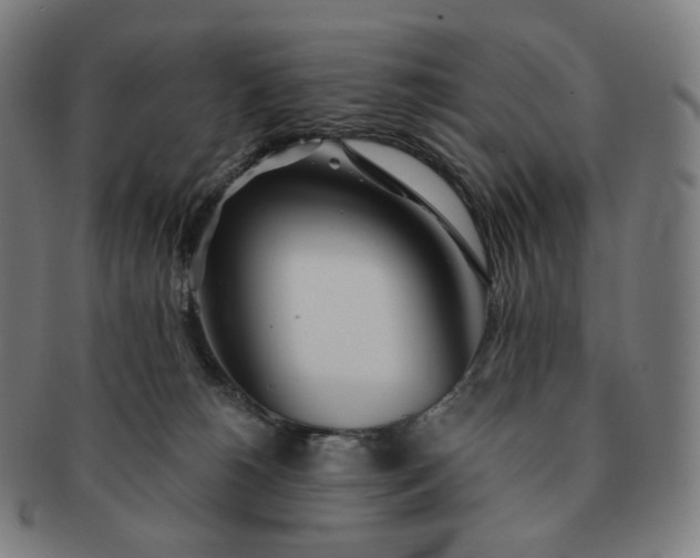 X0000091300180200708241059