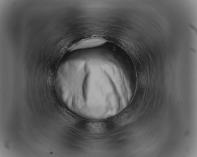 X0000091300181200708241059