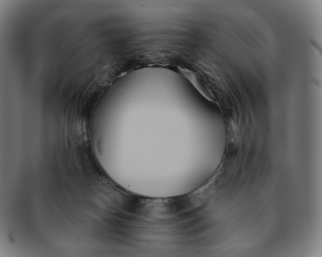 X0000091300182200708241059