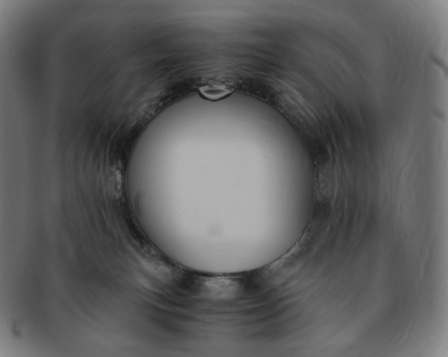 X0000091300183200708241059