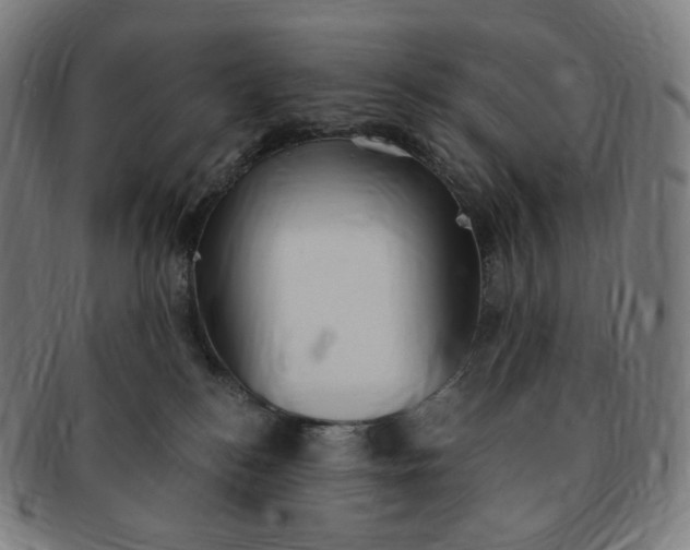 X0000091300184200708241059