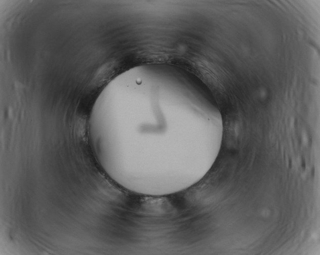 X0000091300185200708241059