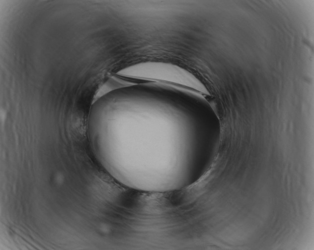 X0000091300186200708241059