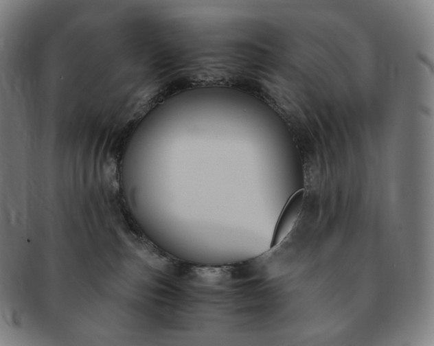 X0000091300187200708241059