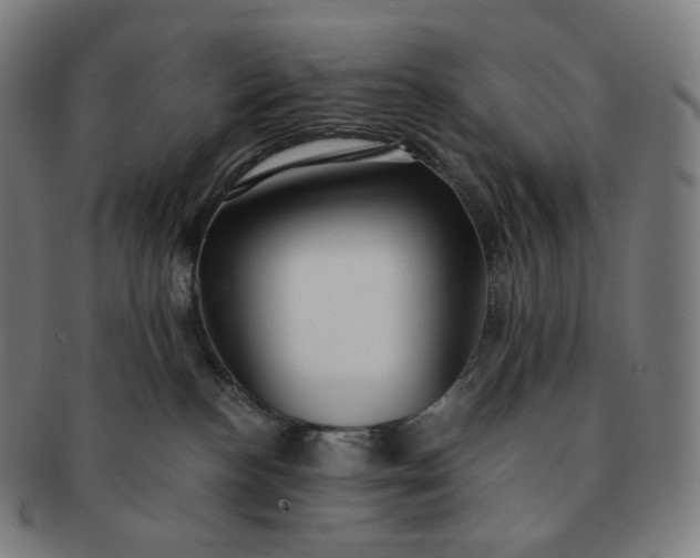 X0000091300188200708241059