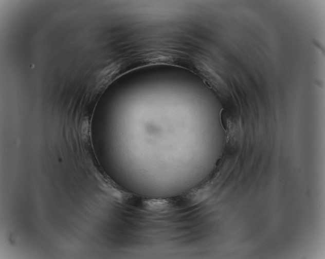 X0000091300189200708241059