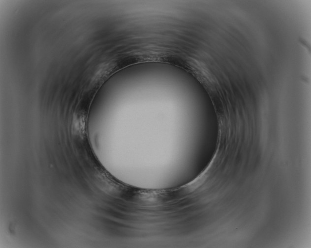 X0000091300190200708241059