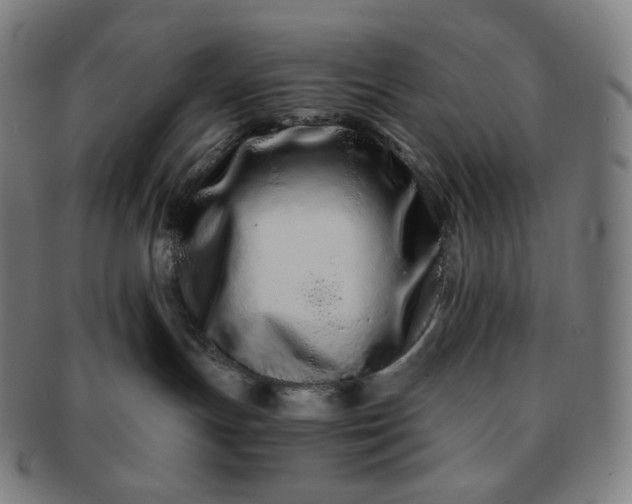 X0000091300191200708241059