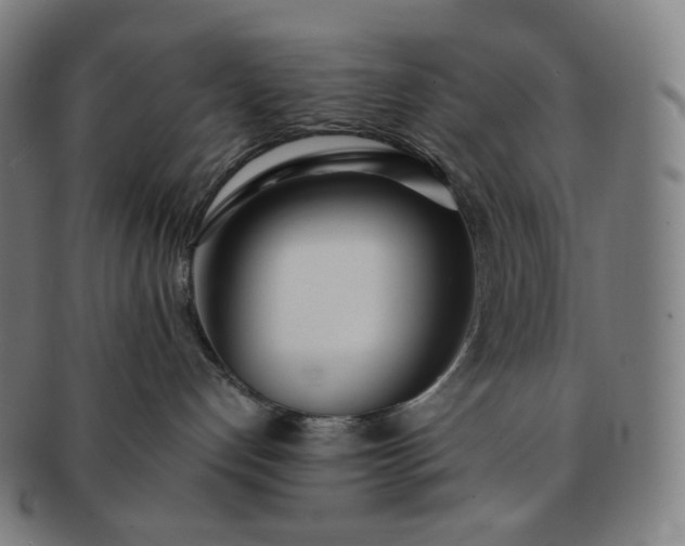 X0000091300192200708241059