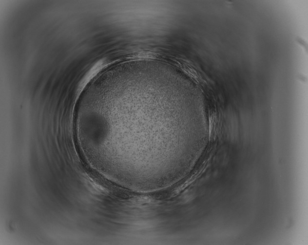 X0000091300195200708241059