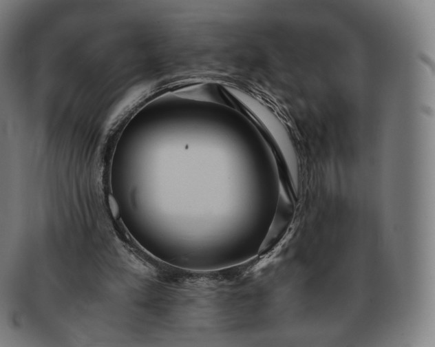 X0000091300197200708241059