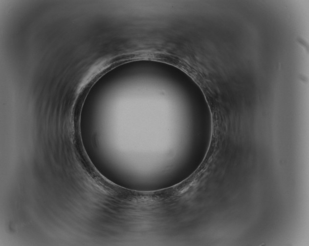 X0000091300198200708241059