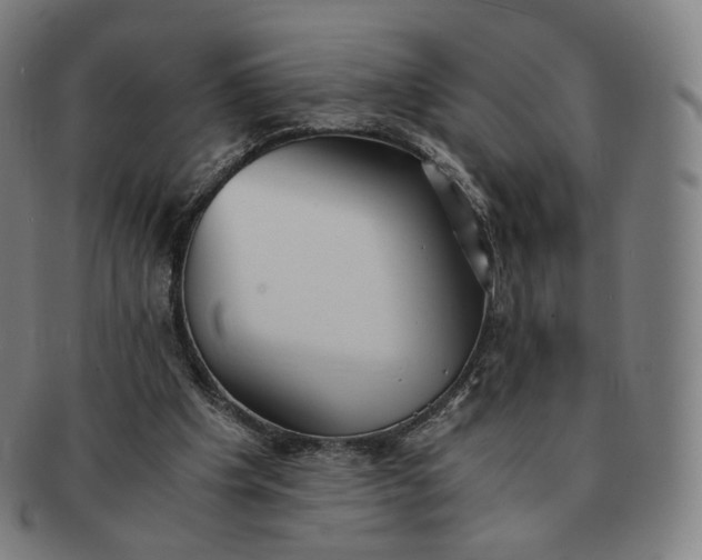 X0000091300201200708241059