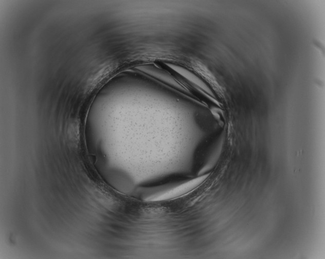 X0000091300202200708241059