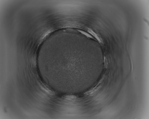 X0000091300203200708241059