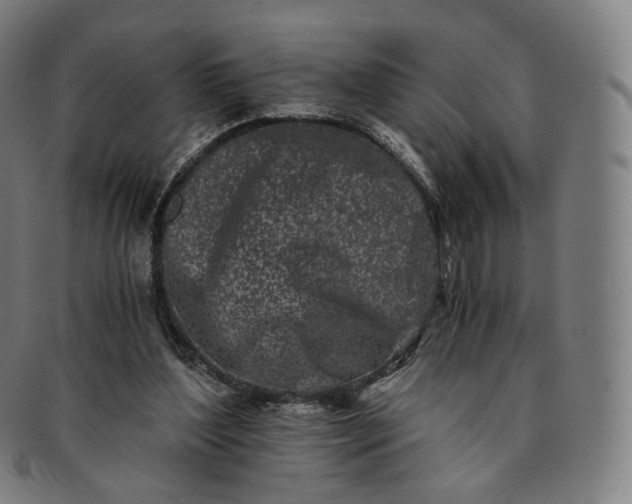 X0000091300204200708241059