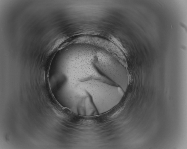 X0000091300205200708241059