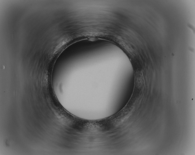 X0000091300207200708241059