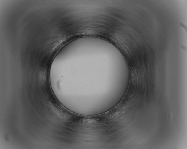 X0000091300208200708241059