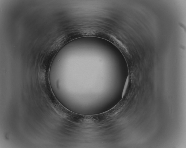 X0000091300209200708241059