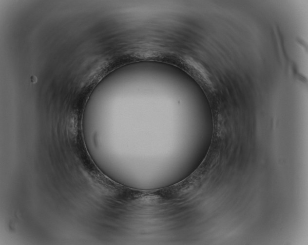 X0000091300210200708241059