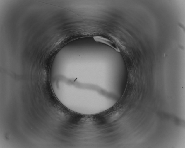 X0000091300211200708241058