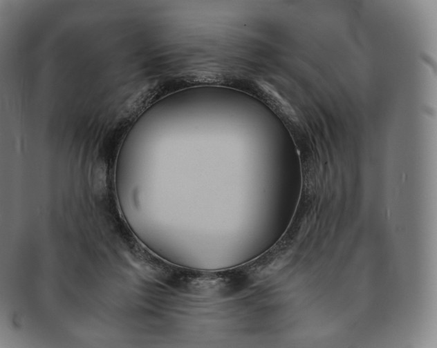 X0000091300213200708241058