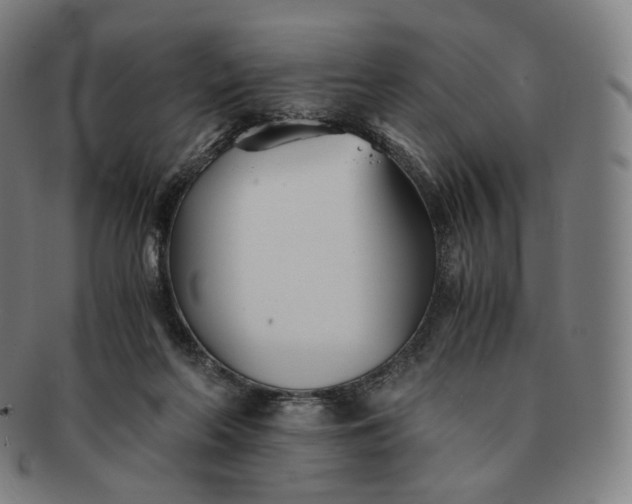 X0000091300214200708241058