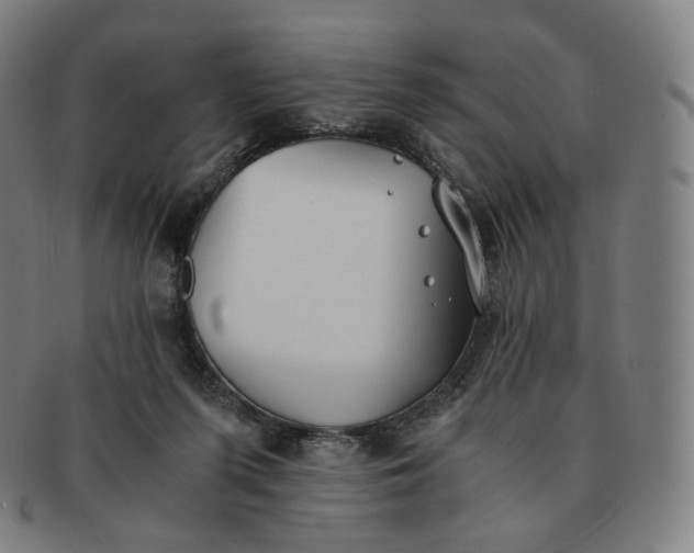 X0000091300215200708241058