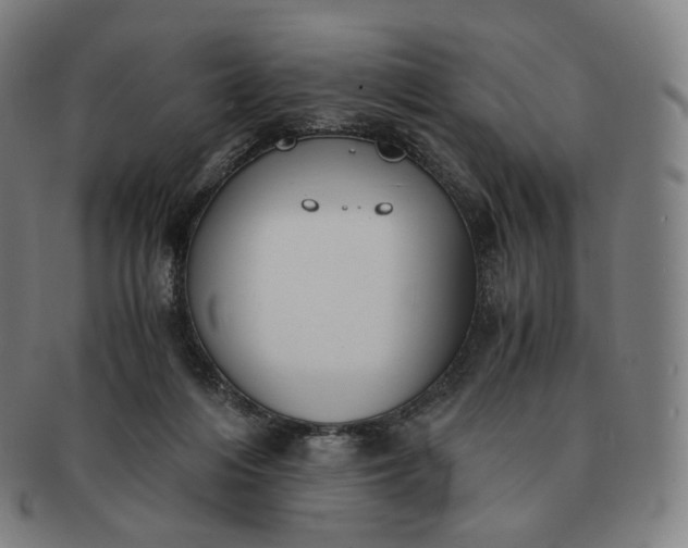 X0000091300216200708241058